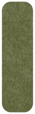 Juniper